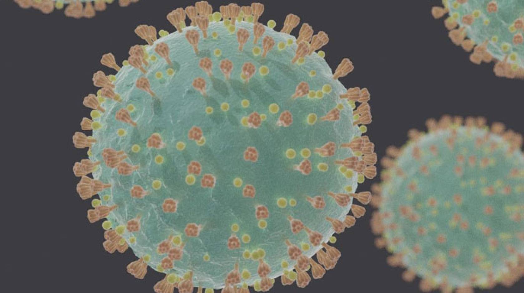 Coronavirus illustration