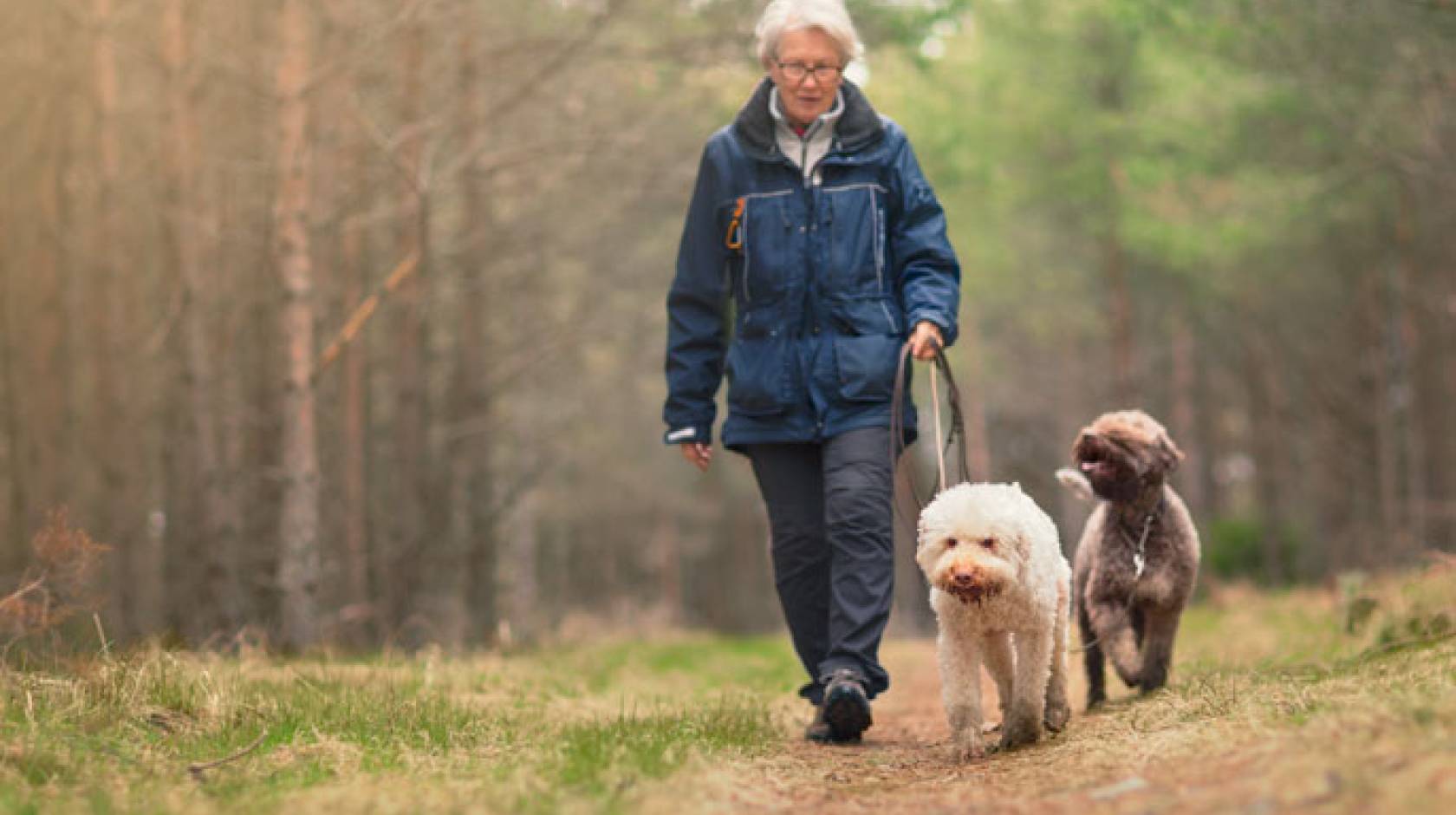 An older woman walks two dogs outside