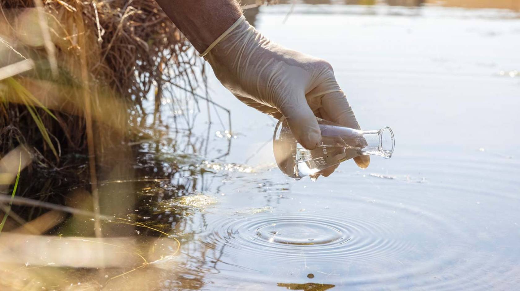 A gloved hand collecting water outside