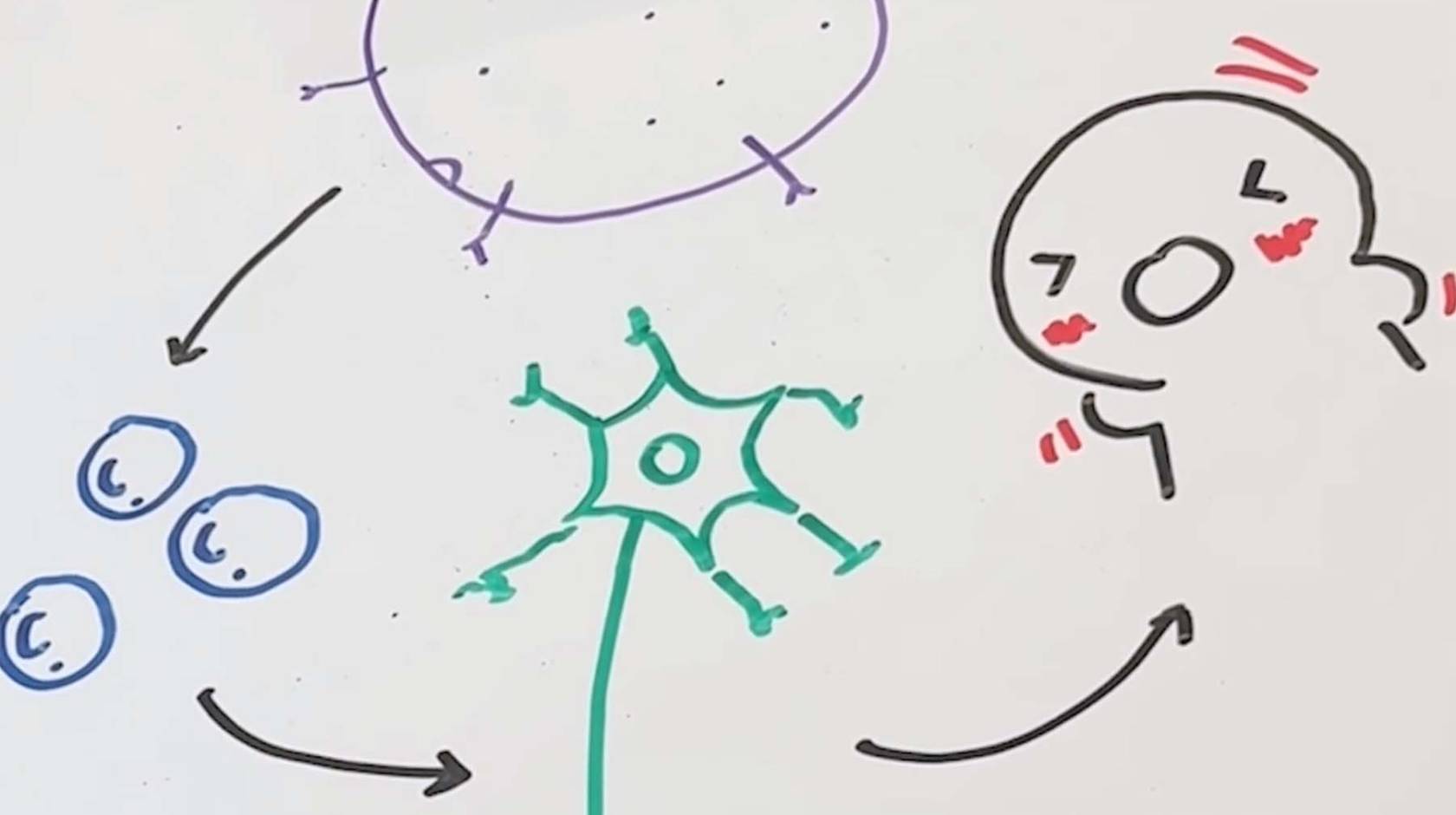 Illustration with whiteboard markers of a little cartoon agitated by itch and how the nervous system works on a whiteboard