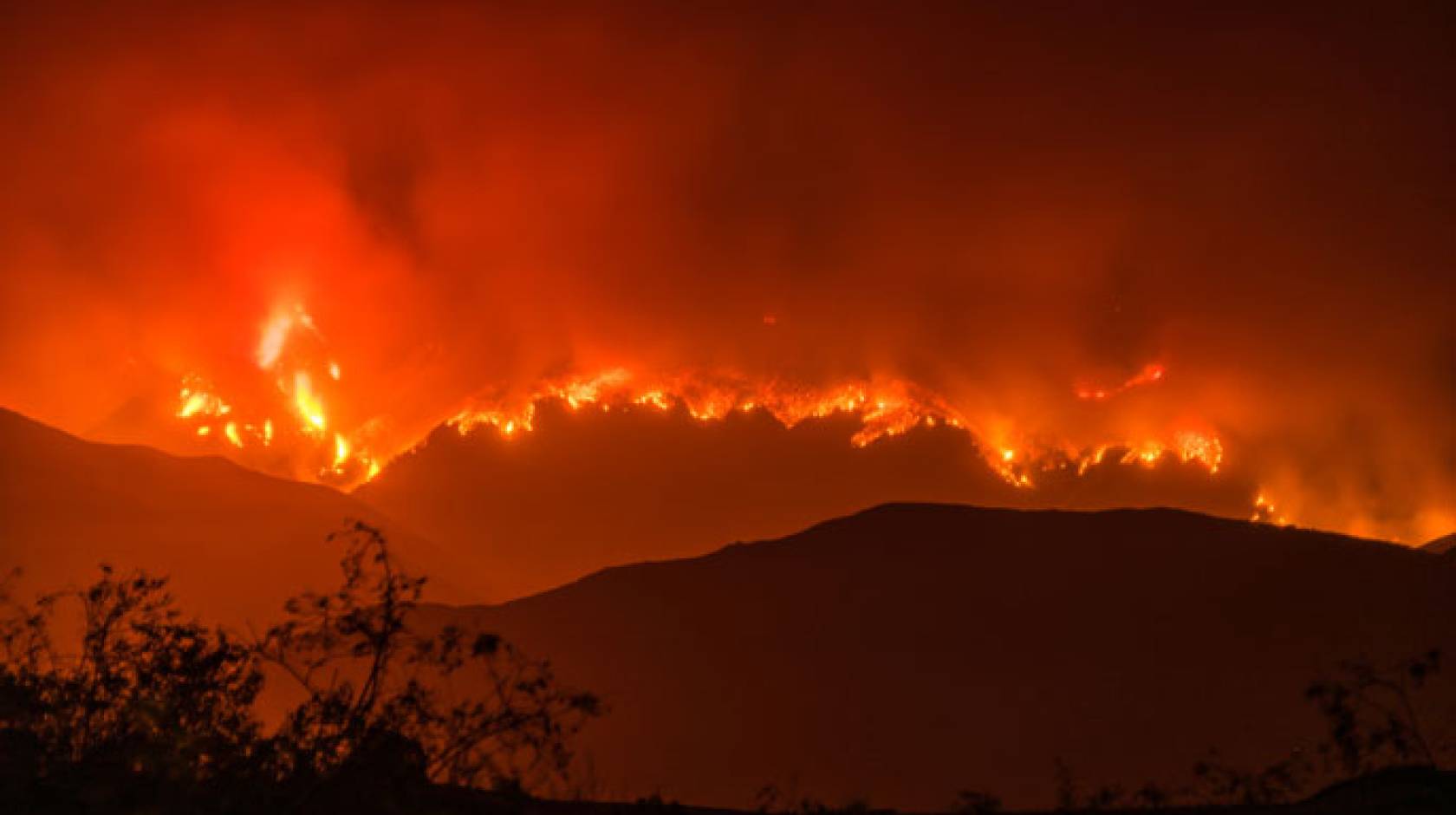 Whittier fire UCLA