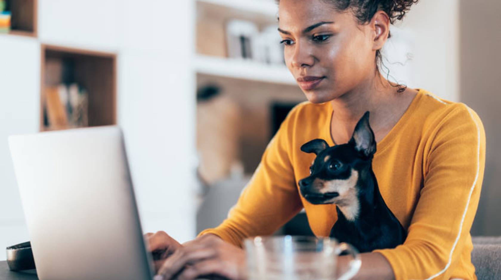 Young Black woman with small dog working on computer together
