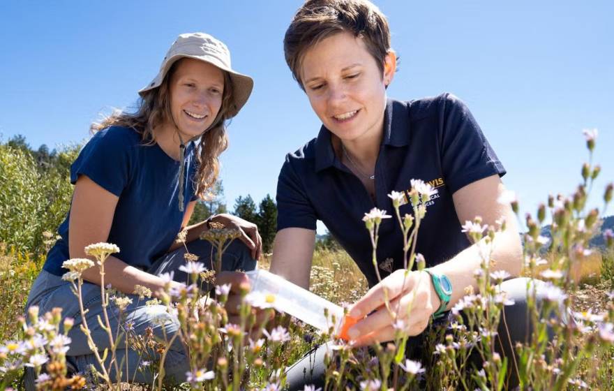 Two women in dark blue shirts kneeling in a meadow. One is holding a plastic tube while the other looks on