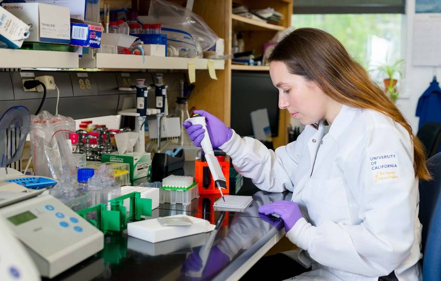 A student in a white lab coat with a pipette in the lab