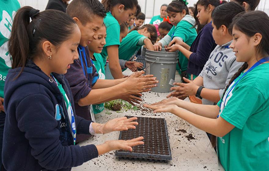 Children in Mexicali, Mexico, plant seeds while learning about food and agriculture.