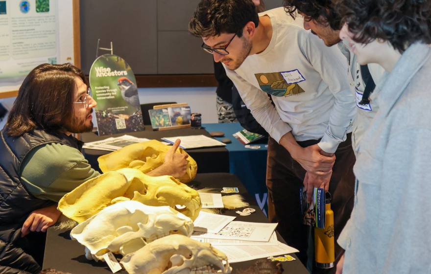 A man talking to students visiting a table that is displaying bear skulls