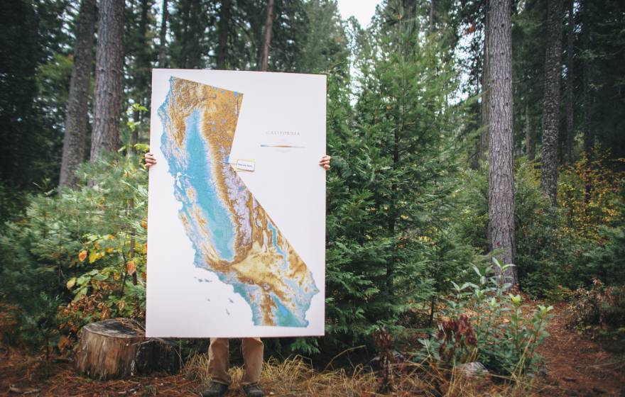 A person stands in a forest, holding a big map of California, which covers all but their legs and hand. 