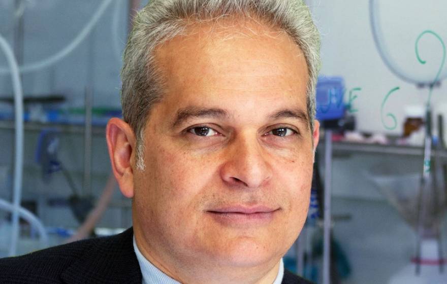 Daniele Piomelli 