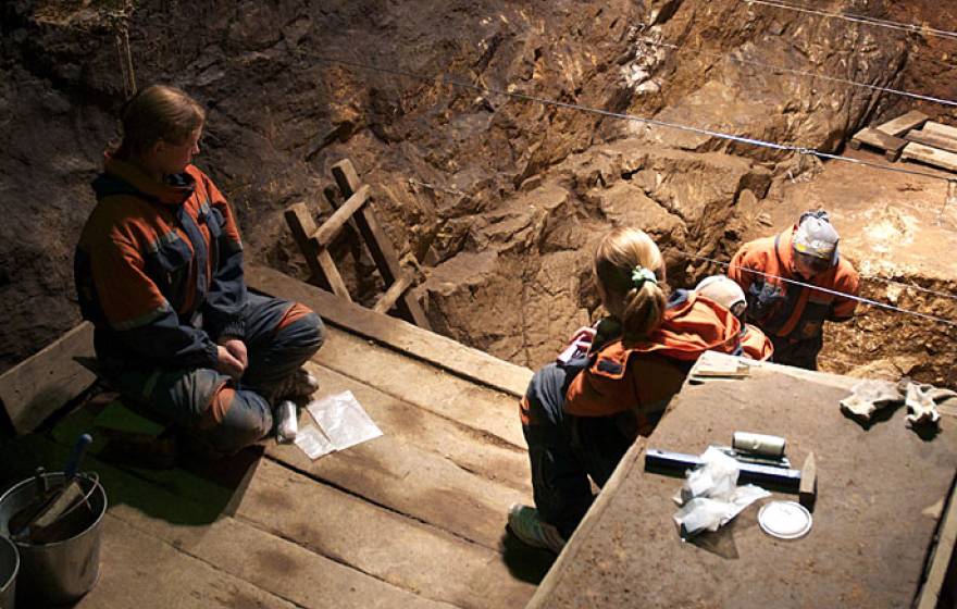 Denisova Cave excavation