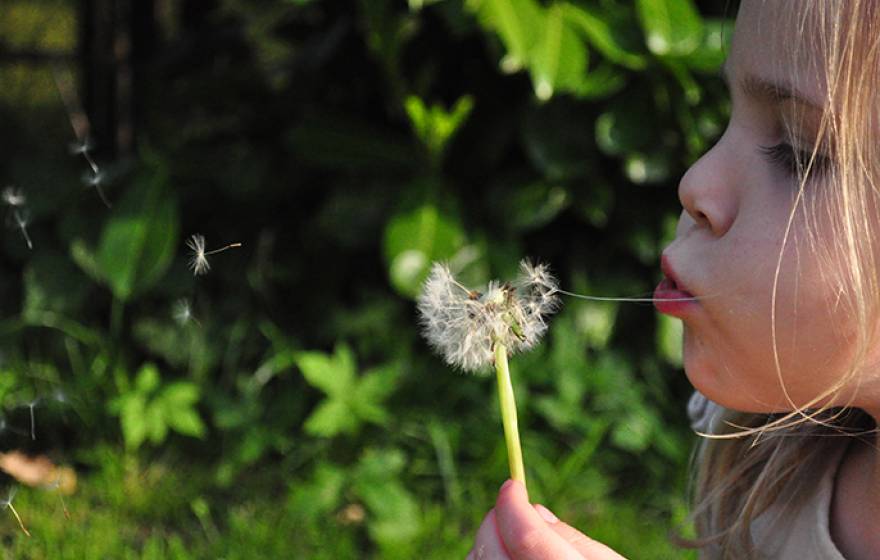 Girl with a dandelion