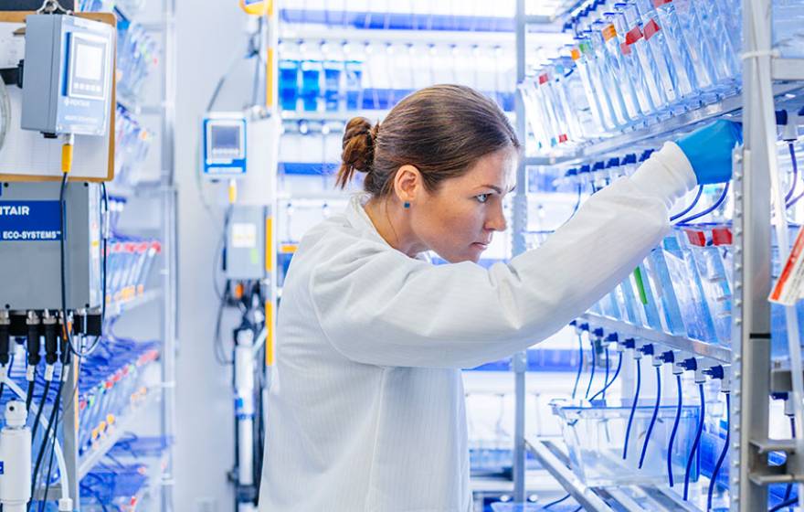 UCSF researcher in her lab