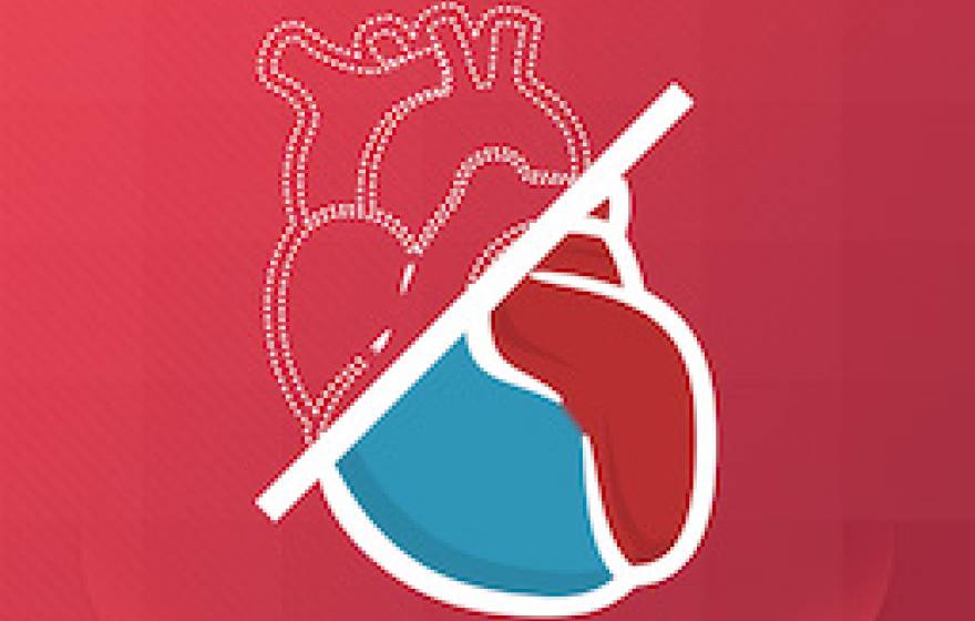heart icon