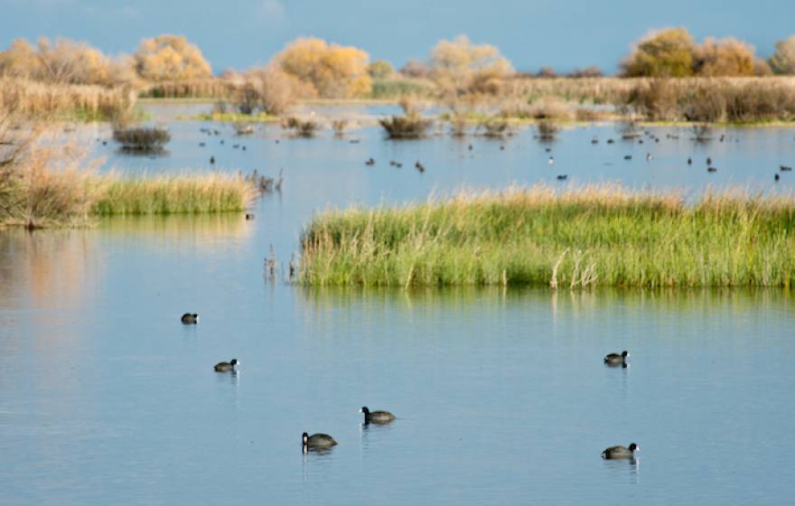 Kern National Wildlife Refuge