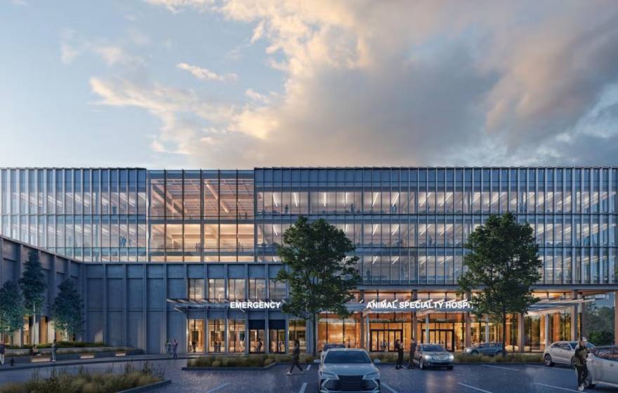 Modern glass office building at dusk with warm-lit interiors, front trees and parked car. A conceptual rendering of the entrance to the new small animal hospital