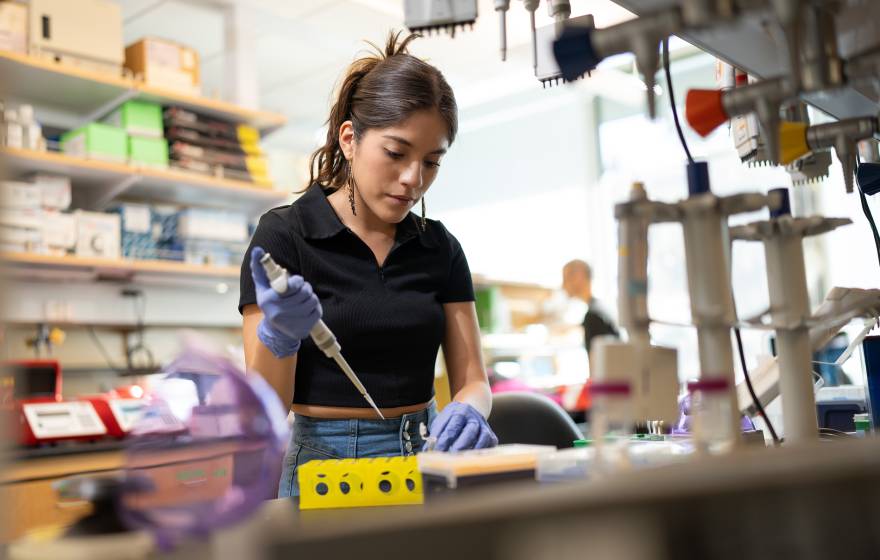 Undergraduate researcher Sugey Garcia Galvin in UCLA's Barber Lab