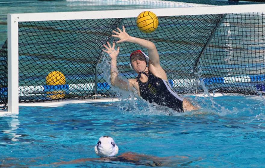 A UC Irvine poll found that water polo goalies experienced more concussions than other players, especially during practice sessions. 
