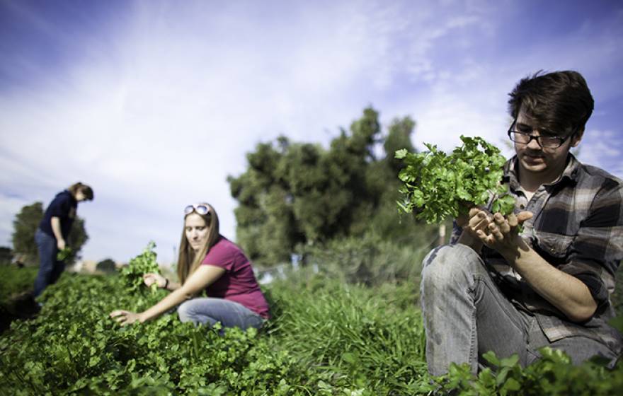 Students in garden