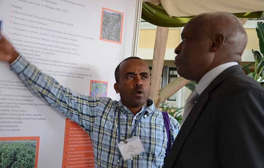 African Plant Breeding Academy launch