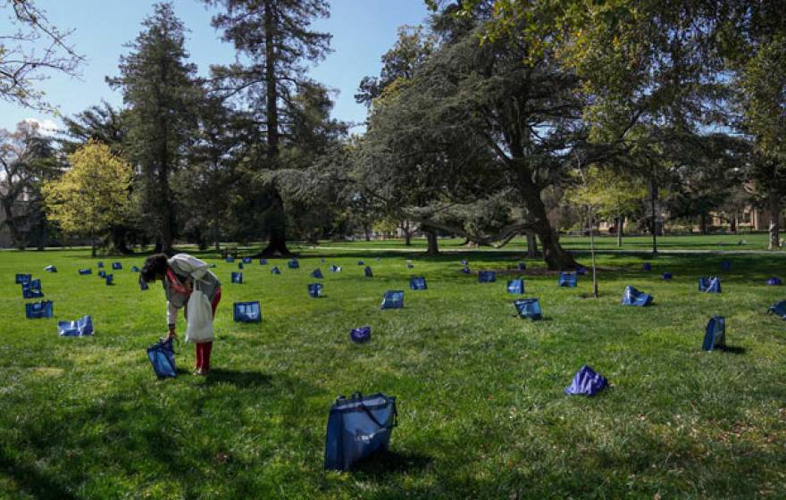 Aggie volunteer arranging food pickups on the lawn