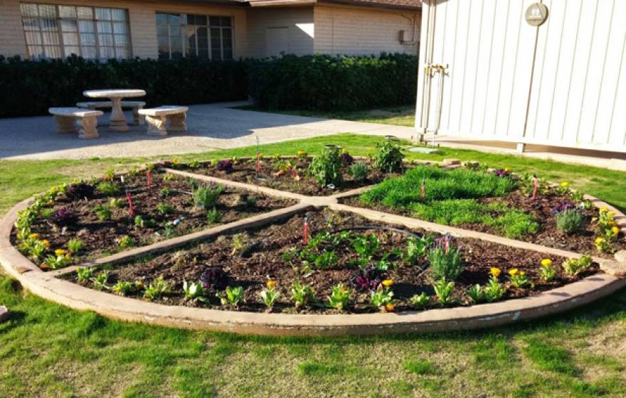 The newly planted pizza garden at the UC Desert Research and Extension Center in Holtville. 