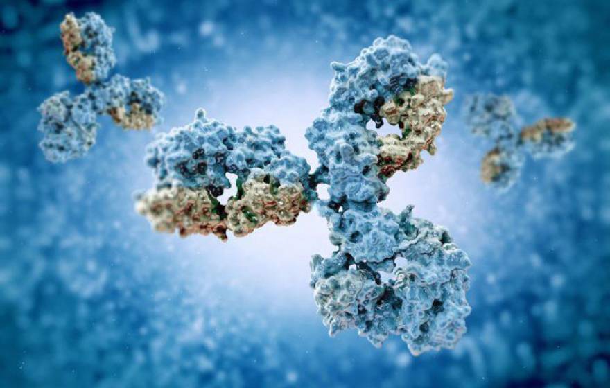 Antibody molecule graphic