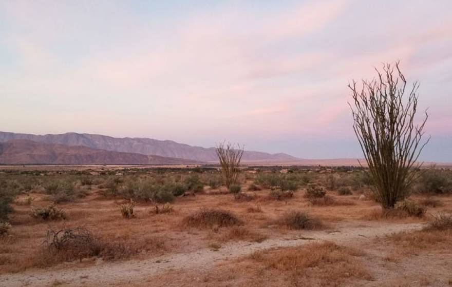 Anza-Borrego State Park at sunset