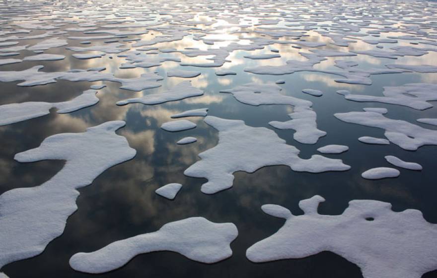 Arctic sea ice