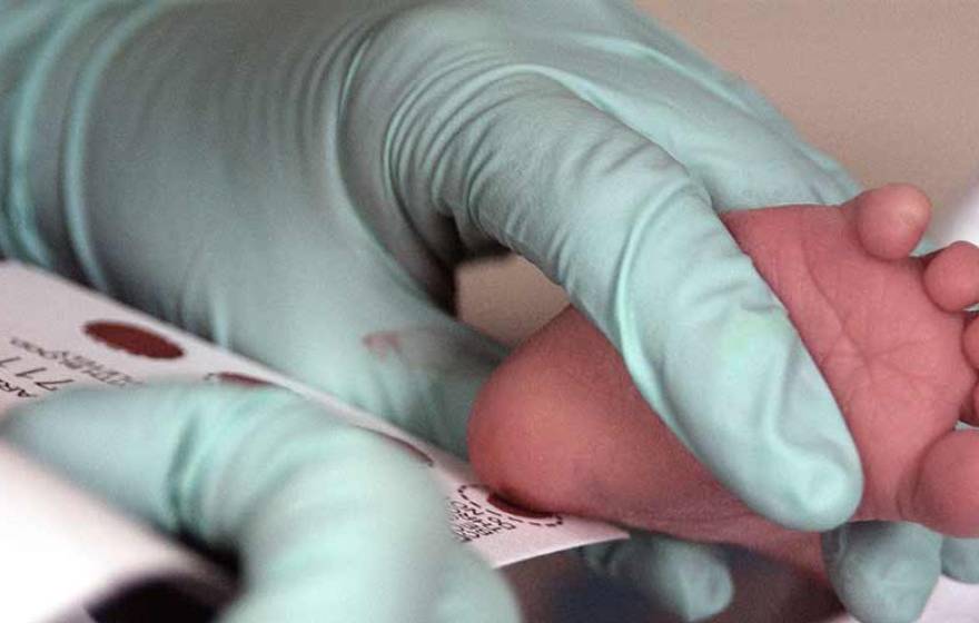 Baby's foot held by doctor for a blood test