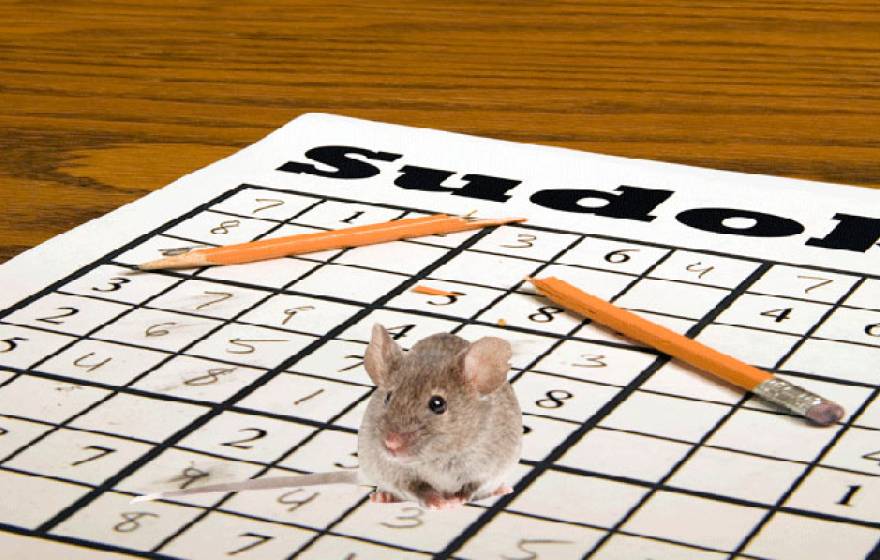 mouse on sudoku puzzle