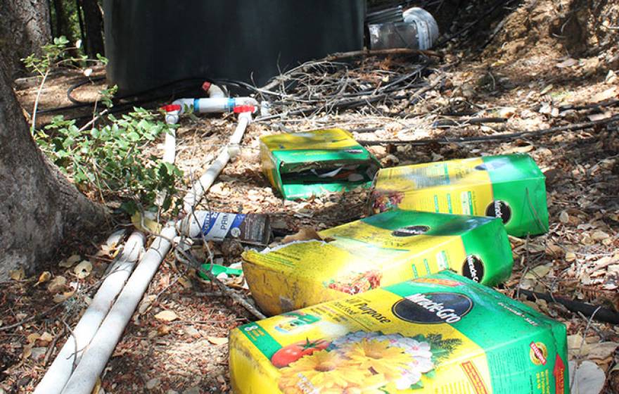 fertilizer boxes at marijuana grow site