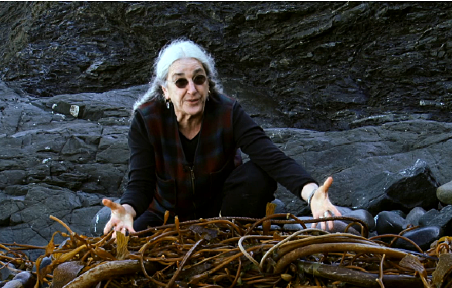 Prof. Miller with seaweed