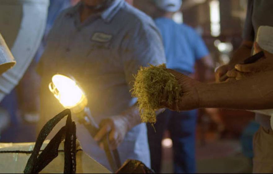 A close-up photo of a demonstration of how biochar is made