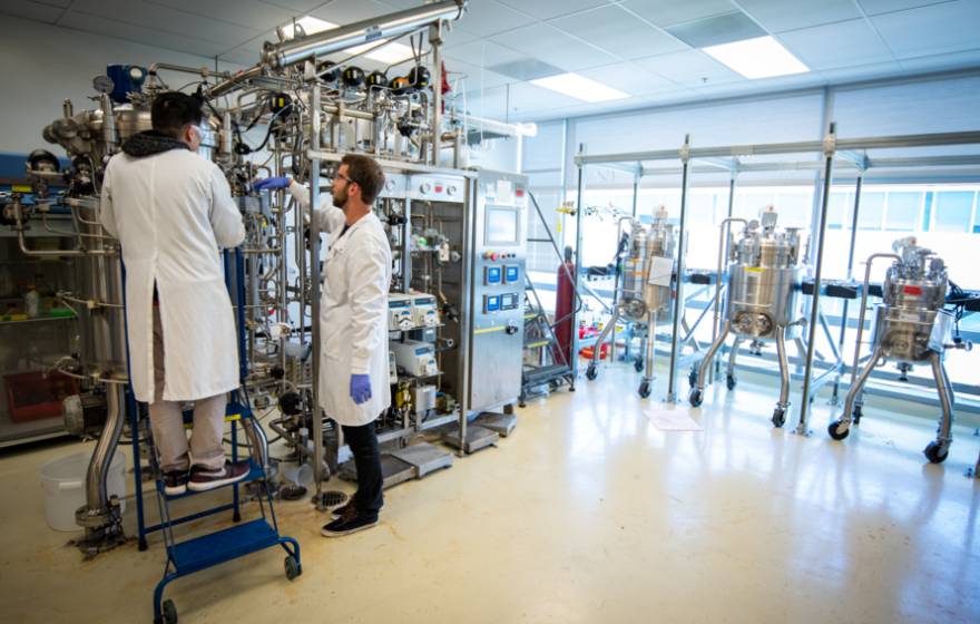 Two people working on a project in a lab