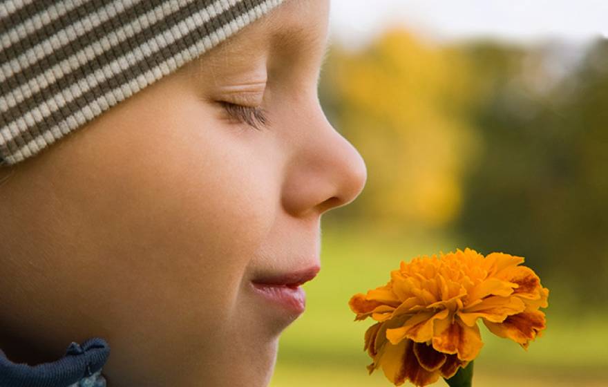 boy smells flower