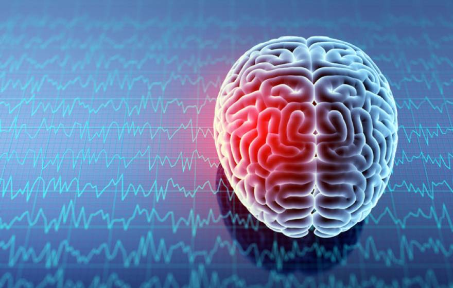 Electric impulses may help brain recover from shock