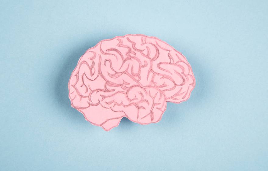 Human brain made of paper on a blue background