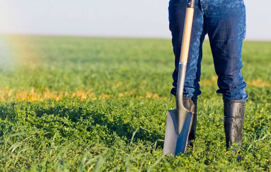 UC Merced California crops