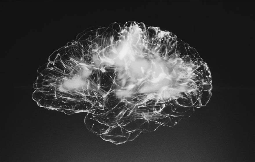 A 3-D-looking scan of a brain appears white against a dark background