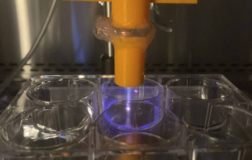 Cold plasma treating samples in a six-well plate