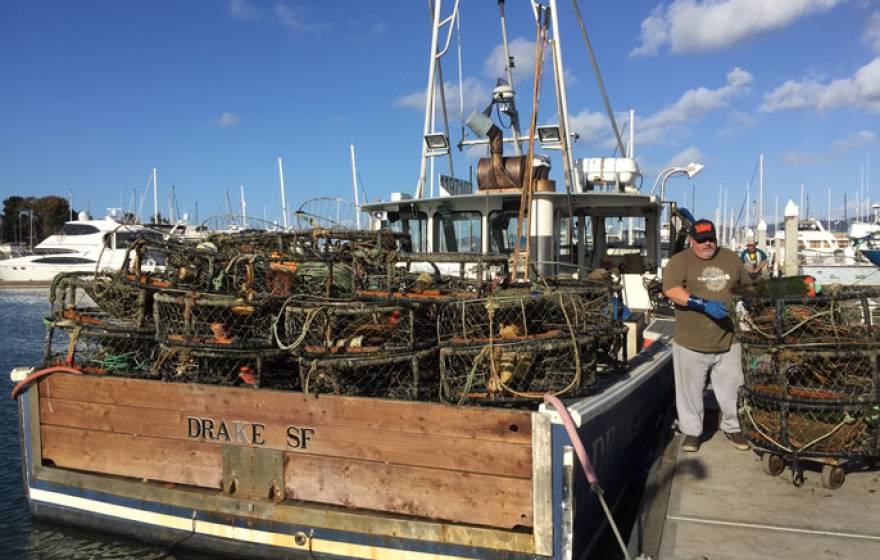 Crab fishing UC Davis