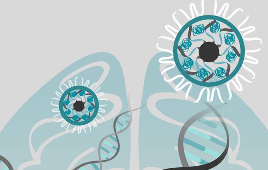 UC Berkeley CRISPR illustration