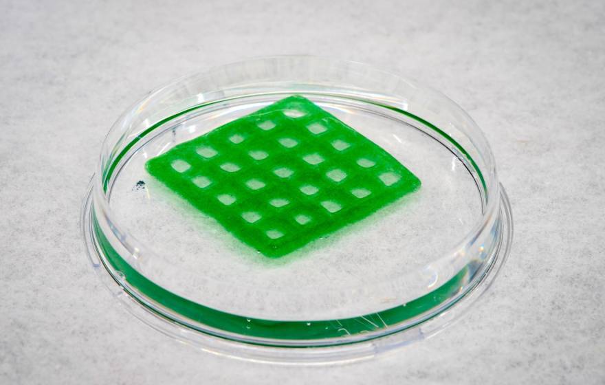 A transparent liquidish disc with a green grid on top of it