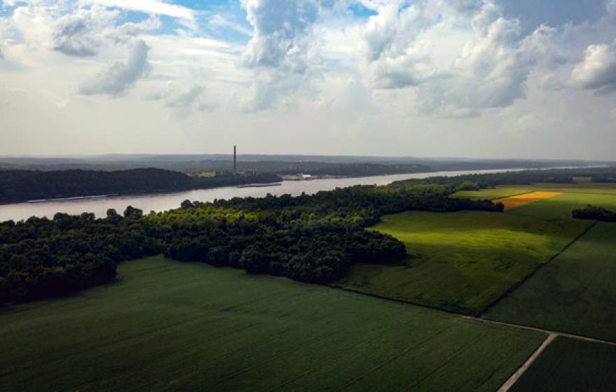 Floodplain near the Mississippi River