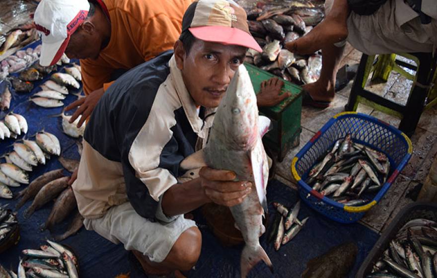 man in Indonesian fish market