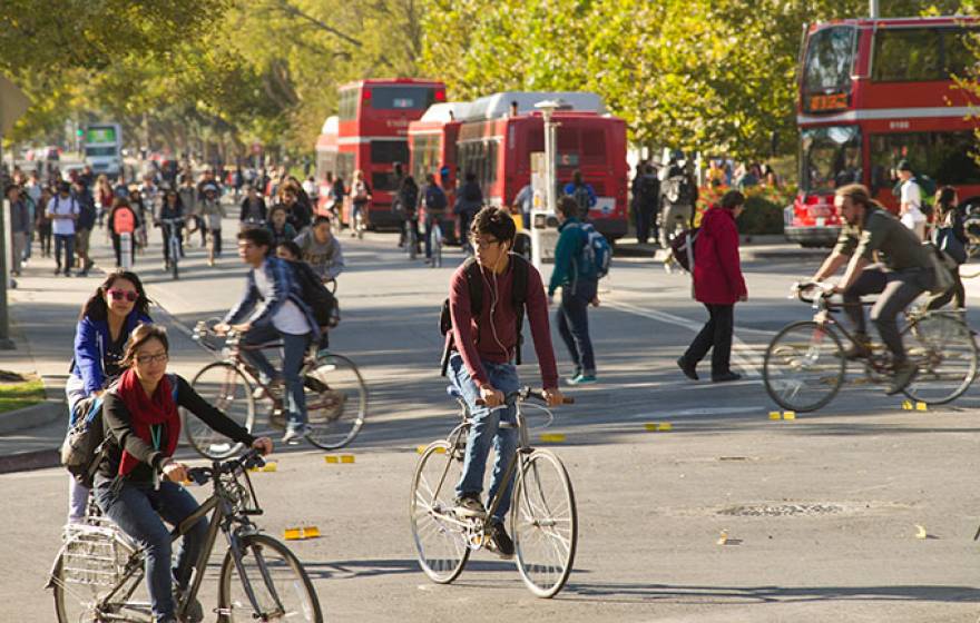 Cyclists in Davis