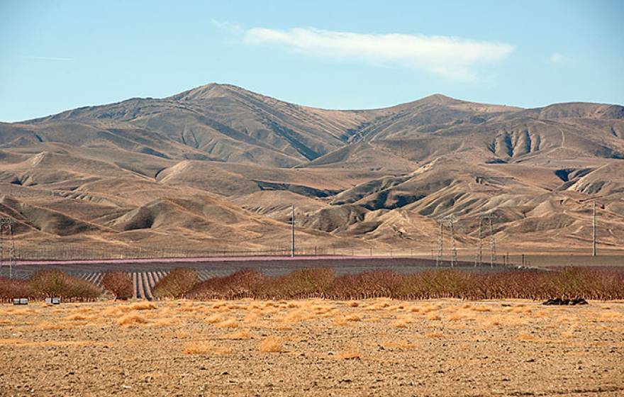Dry fields and hills, San Joaquin, CA