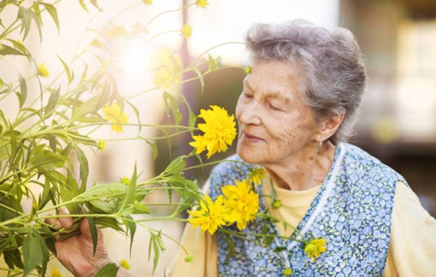 UCSF dementia odor