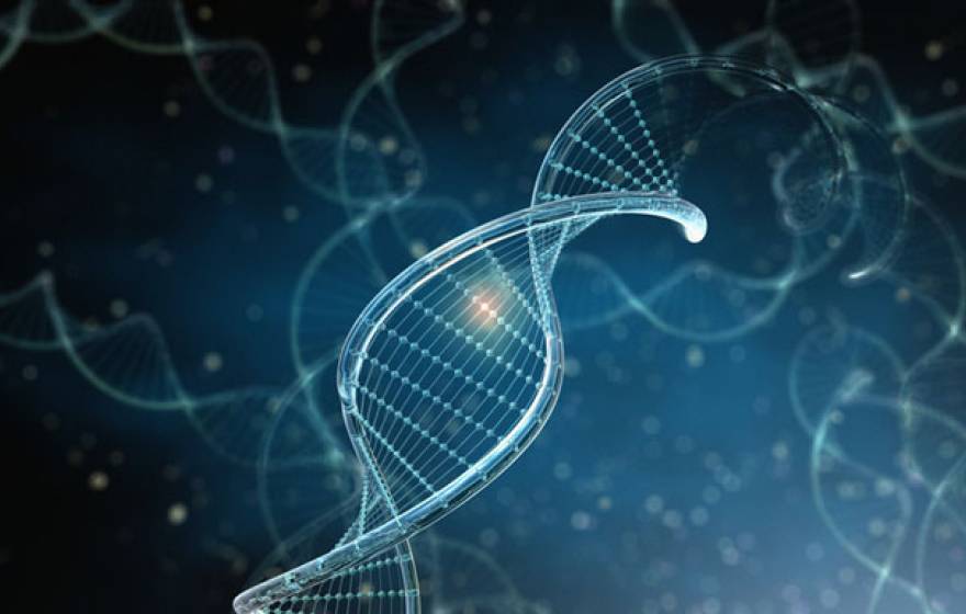 DNA differences UCSF