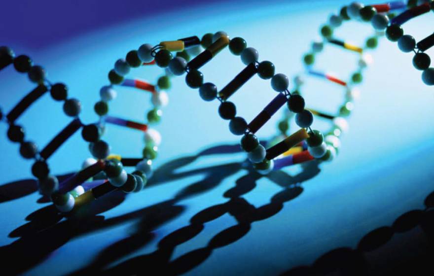 Illustration of the DNA double-helix