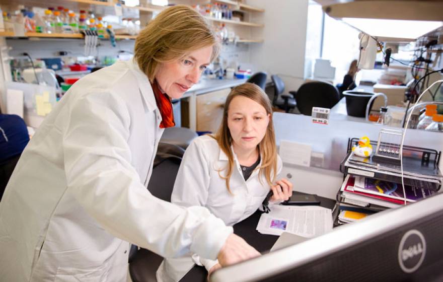 Doudna in a lab with a colleague